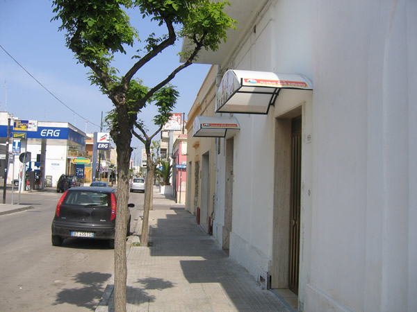 avanti
